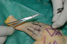Practicas de laboratorio