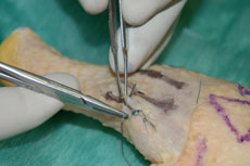 Practicas de laboratorio