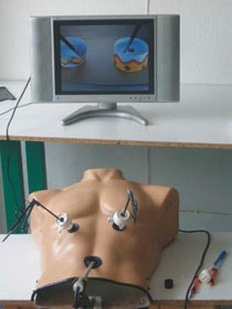 practicas de cirugia endoscopica